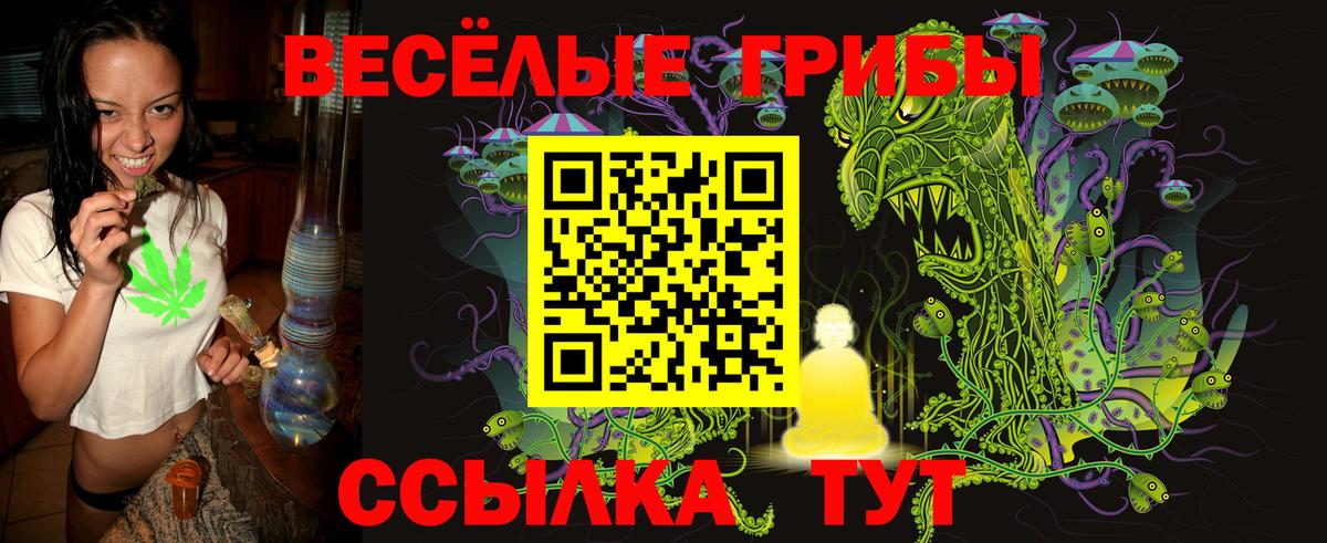 Новочеркасск  Галлюциногенные грибы GOLDEN TEACHER  Вход с VPN 