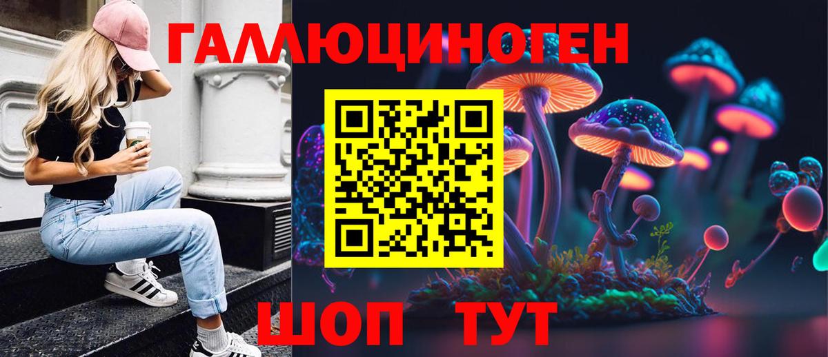 Галлюциногенные грибы Cubensis Новочеркасск