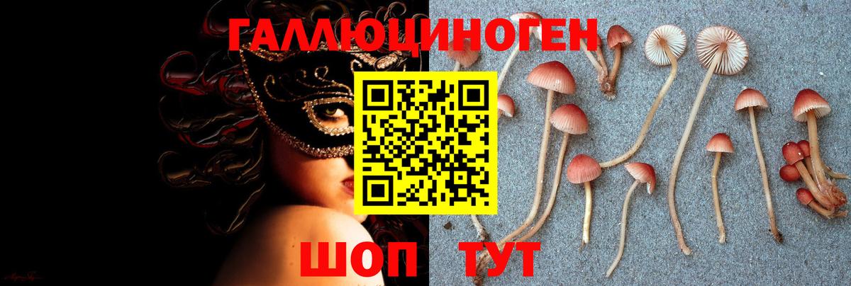 Мефедрон Новочеркасск